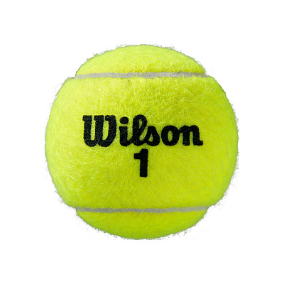 Теннисные мячи Wilson Roland Garros All Court 4 b